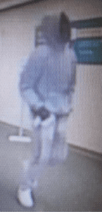 FBI handout 2 armed suspect in bank robbery