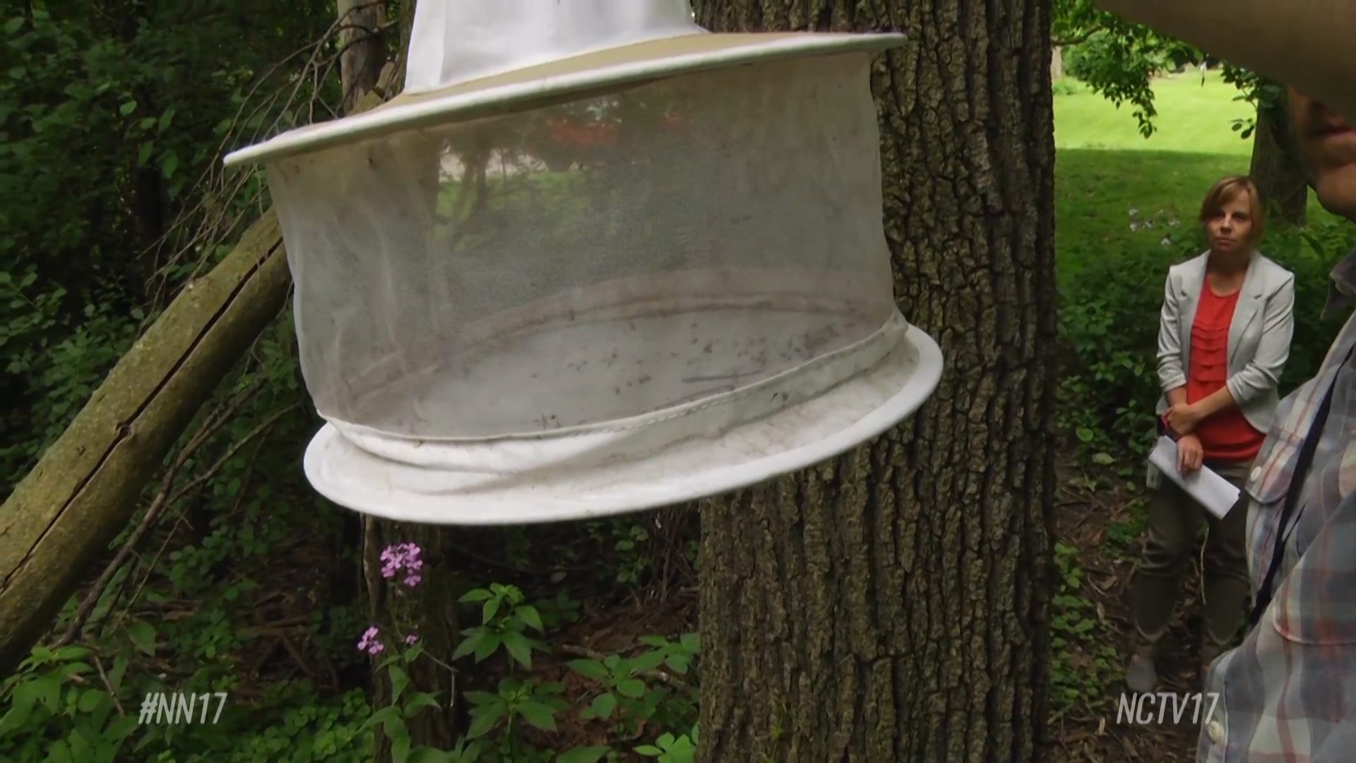 West Nile Found Again | Party That Shall Not be Named | Naperville City Swim Meet Begins