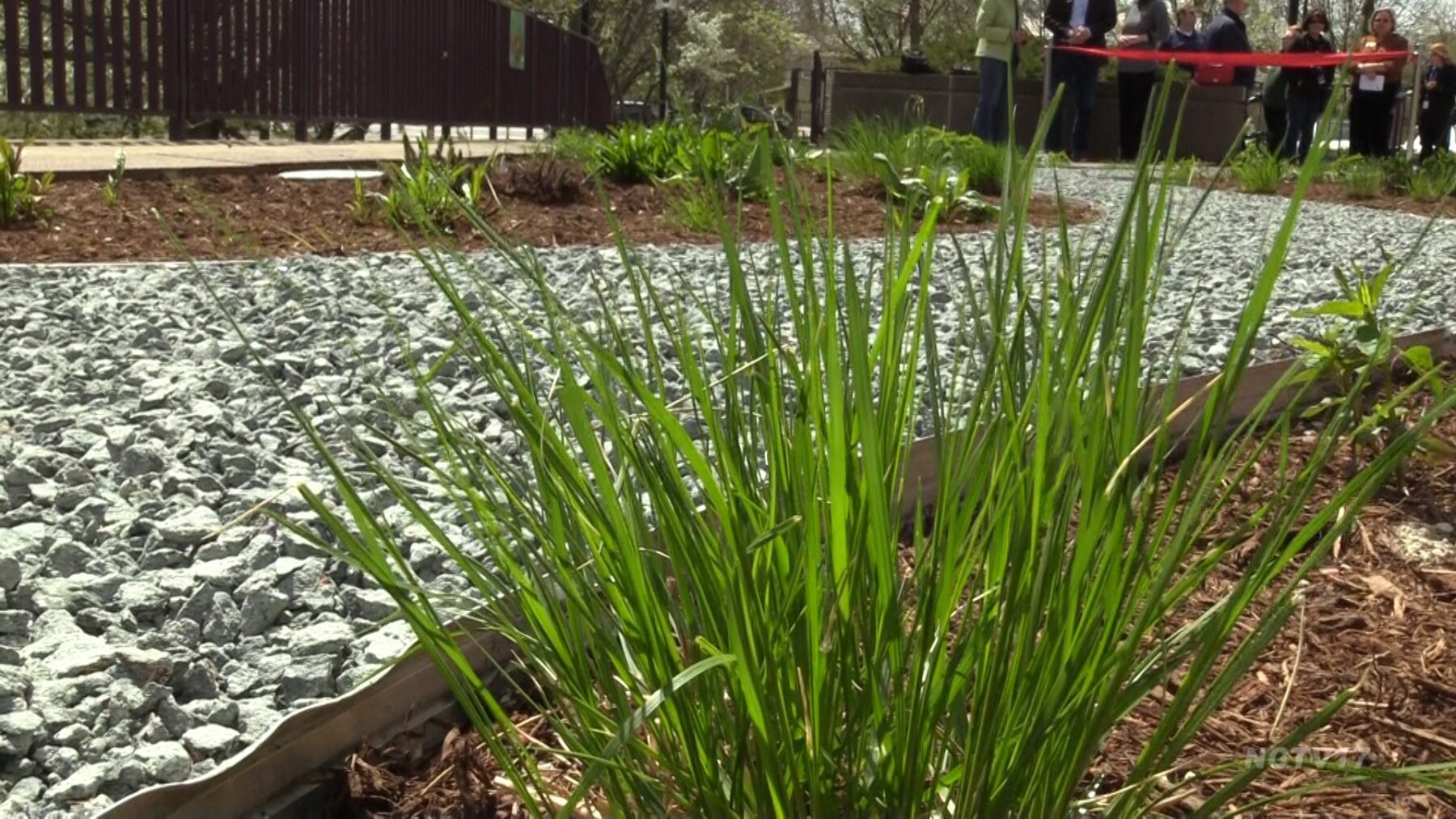 Earth Week Blossoms in Naperville