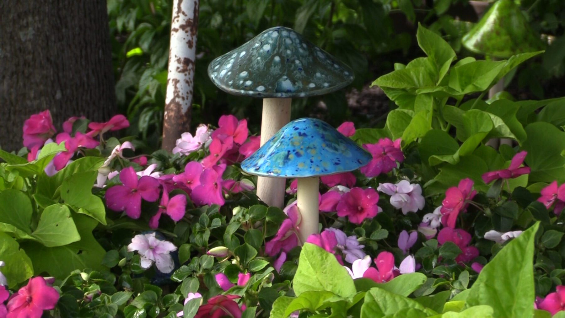 Take a Walking Tour of Naperville’s Backyard Gardens