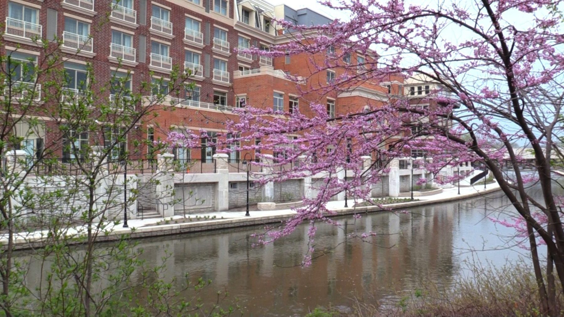 Naperville Park District to maintain more Riverwalk Land