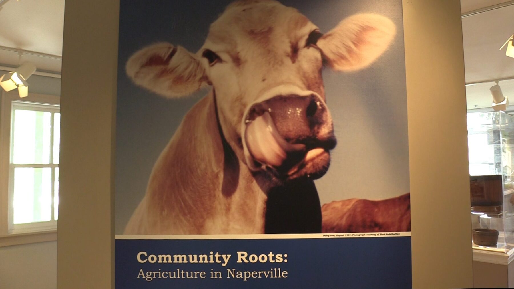 Exploring Naperville’s Community Roots